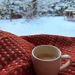 Holiday home Tiny House Miyo - Welness In The Woods With Garden Tub