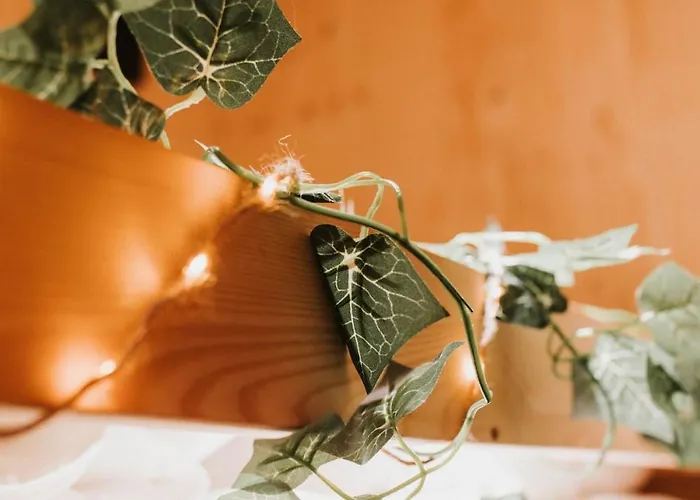 Tiny House Miyo - Welness In The Woods With Garden Tub Prázdninový dům *